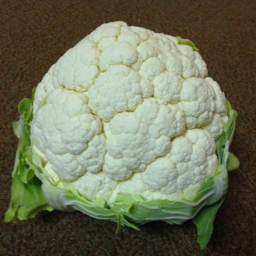 Cauliflower Optimist